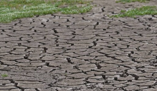Cum ar putea „Godzilla” El Niño să schimbe lumea, mai ales Europa