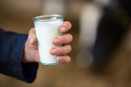 Litrul de lapte se vinde cu 70 de bani la ferme, dar apare cu 2,4 lei în ...