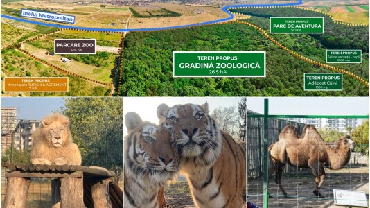 Proiect de 50 de milioane de euro lângă Oradea: parc de agrement uriaș și ...