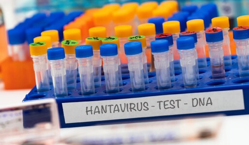 Dr. Adrian Marinescu, despre cazul de Hantavirus din România: „E o isterie! ...
