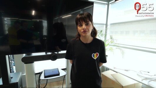 Alexandra Căpitănescu, interviu integral la 55 de întrebări – powered by ...