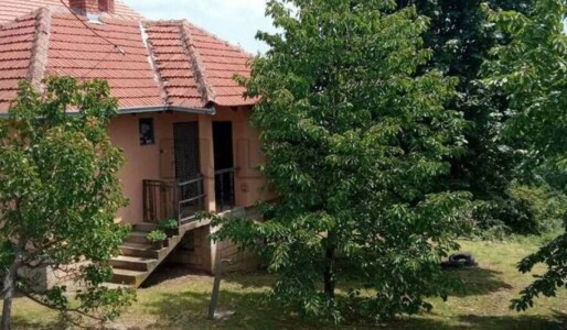 Casa cu 1.800 mp de teren și beci cât toată locuința, vândută la preț de ...