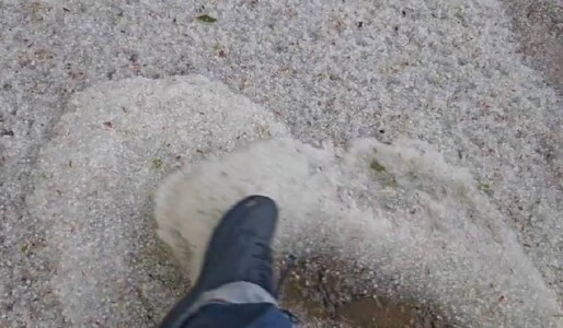 Covor de grindină în Gorj, gheața a distrus pomii fructiferi și grădinile. ...