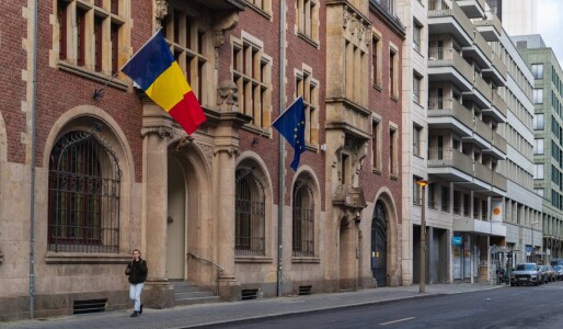 Cum cere o americancă azil în România: „Nu am să spun că țuica e kombucha, ...