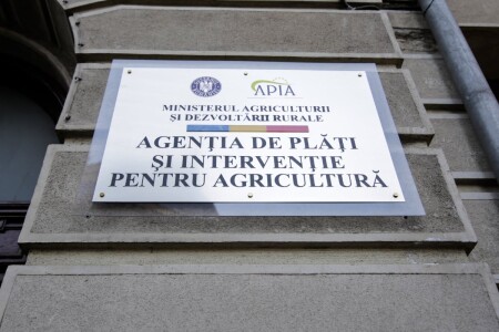 Cine este Kerekes Melinda Klara, interimară la șefia APIA, după ce Adrian ...