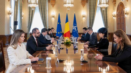 Consultări decisive la Cotroceni: ce vor partidele, cu ce mandat merg și ce ...