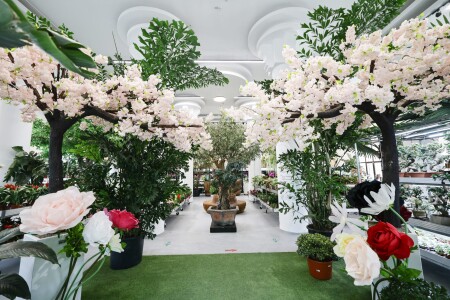 Mall-ul de plante din București are cinci niveluri cu peste 1.200 de ...
