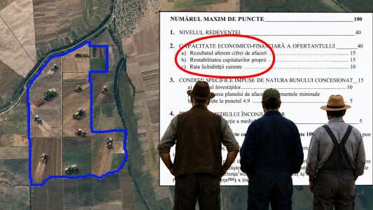 Terenuri de zeci de mii de hectare în Delta Dunării, concesionate pe ...