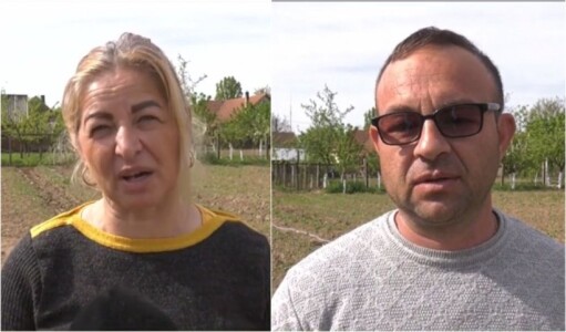 Afacerea cu care doi români din Bihor au dat lovitura. "Hrana regilor" se ...