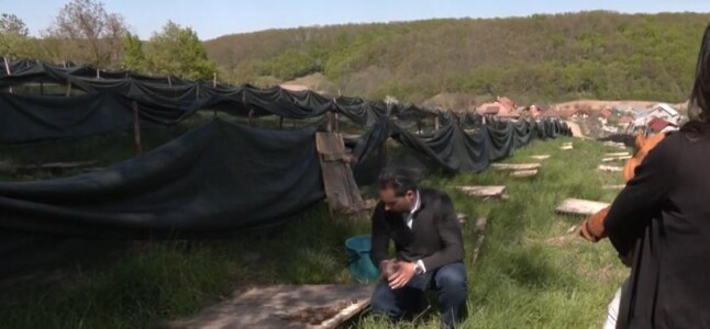 Povestea de succes a familiei din Bihor care produce „aur lichid”. Ferma ...